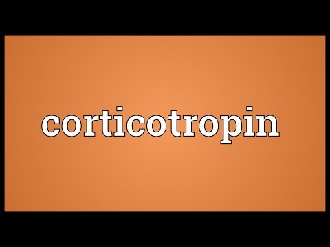 Header of corticotropin