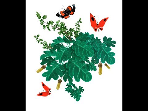 Урок 2 Кисти в Adobe Illustrator Урок 2 Кисти в Adobe Illustrator