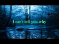 Eagles - I Can't Tell You Why [w/ lyrics]