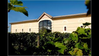 Un Jour Un Château En Pessac-Léognan Château Mancèdre