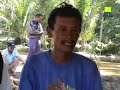 image Teknis Budidaya Ikan Mas Sms 085721418338 Bb 2970a9bc