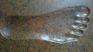 Naqsh e paa e Huzoor S.A.W Naqsh e paa e Huzoor S.A.W