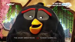 The Angry Birds Movie 2016 Wbtv Promo