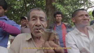 Cultura Viva Mbya Guarani