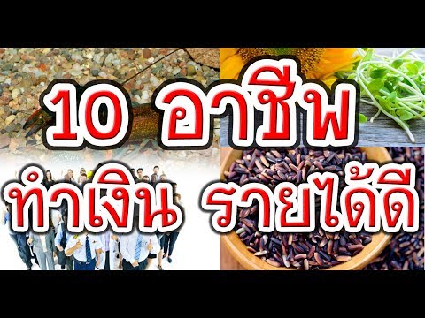 10 อาชีพ!! ทำเงิน!! รายได้ดีมาก!!