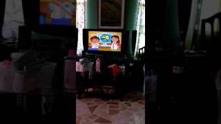 Busy Watching Go Diego Go