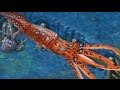 Jurassic Park Builder - Colossal Squid Gameplay