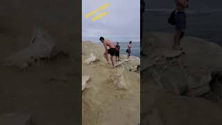 Sealion Attacks Cliff Diver As He Climbs Up - La Jolla Cove, San Diego, California