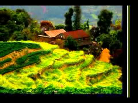 sayeun juni pauna sakincha by Jagdish Samal and Rajina Rimal