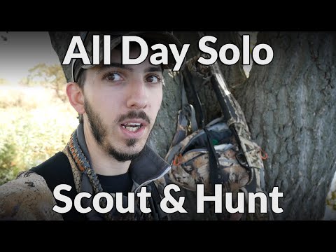 Ducks In The Swamp Video