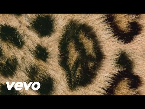 Wraith Video