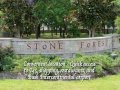 Stone Forest Spring Texas 77379