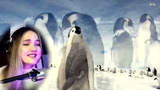 Юлия Щербакова Legend  - Песенка О Пингвинах Bsh