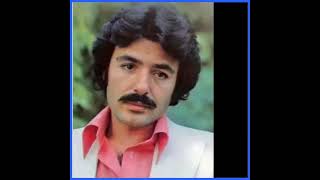 Ferdi Tayfur - Sen Olacaktın