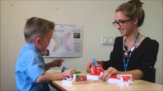 Dissertation Speech And Language Therapy