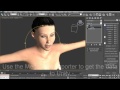 Unity3D and Evolver facial animation Morphs