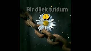 Whatsapp Üçün Yeni Video Və Mahnı 2021 Mp3 Heziyev 