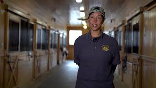 Topfield Veterans Programs
