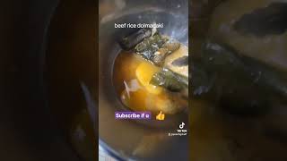 Beef Rice Veggies Dolmadaki G Leaf Rolls With Chicken Broth