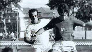 qAfNWeoVEAc Video Image