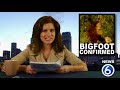 Bigfoot is Gay
