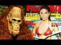 Bigfoot is Gay