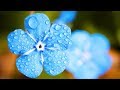 Mindfulness Relaxing Music for Stress Relief. Calm Instrumental Background Music for Relaxation Mindfulness Relaxing Music for Stress Relief. Calm Instrumental Background Music for Relaxation