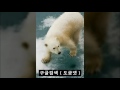 소라넷트위터 소라넷트위터주소 서민정 19금여성전용