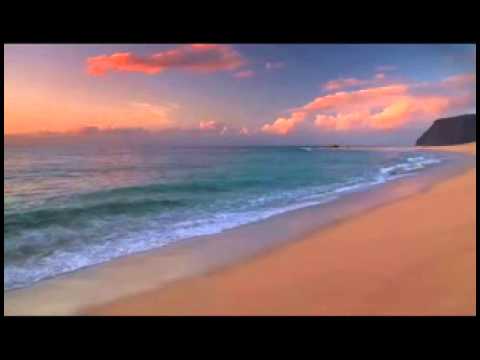 Sunken Sun Video