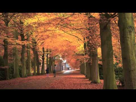 Brain Power Study Music:Sounds of NatureRelaxing Flute Concentration...