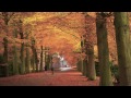 Brain Power Study Music Sounds Of Nature Relaxing Flute Concentration images Brain Power Study Music Sounds Of Nature Relaxing Flute Concentration