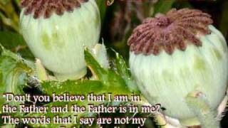 Watch Darlene Zschech Promise video