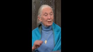 Jane Goodall Destroys Trump Climate Lies