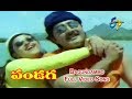 Bagundammo Full Video Song | Pandaga | ANR | Srikanth | Raasi | ETV Cinema