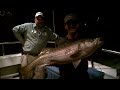 RNA on a Blackhawk Sportfishing Night Bass Trip