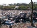 Reportaje cuidemos el medio ambiente