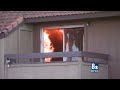 Cat Takes Advice From Crowd And Jumps From Burning Building