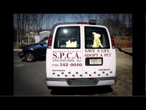 spca history