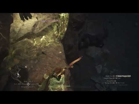 Pawn says cheesing is cowardice behavior - Dragon's Dogma 2