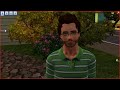The Sims