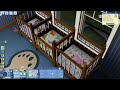 The Sims