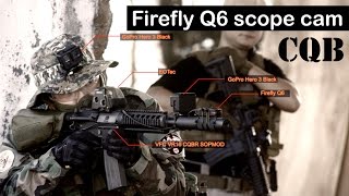 FIREFLY Q6 Price
