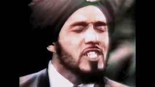 Watch Sam The Sham  The Pharaohs Wooly Bully video