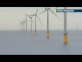 Britain opens world's largest offshore wind farm: PM David Cameron toasts 'great day for Britain'
