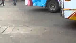 Kiss Of Love Calicut