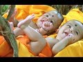 Sri Rama Rajyam Movie Full Songs HD | Sanku Chakrala Song | Balakrishna | Nayantara | Ilayaraja