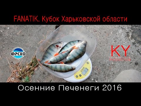 ловля судака на печенегах ловля судака на печенегах