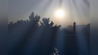 Didem Madak-Pollyannaya Son Mektup