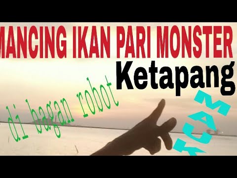 PROSES PENAKLUKAN MONSTER DI KETAPANG
