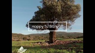 Tu BiShvat 2019 - Holiday of the Trees